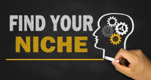 Contoh Niche Blog
