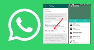 Cara Melihat Status WA Yang di Privasi