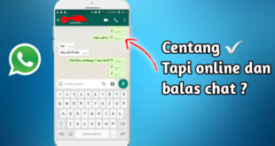 Cara Agar WA Centang 1