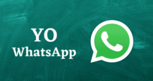 Cara Agar WA Centang 1 dengan YoWhatsapp (Yowa)