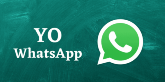 Cara Agar WA Centang 1 dengan YoWhatsapp (Yowa)