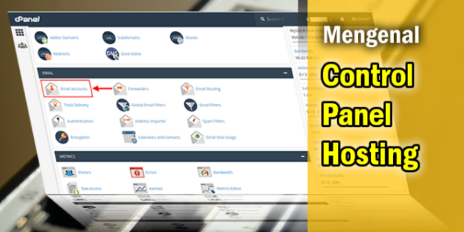 Control Panel Hosting