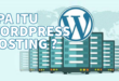wordpress hosting