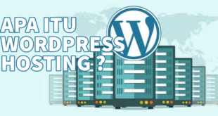 wordpress hosting