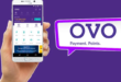 Cara Menghitung Keuntungan Investasi di Ovo