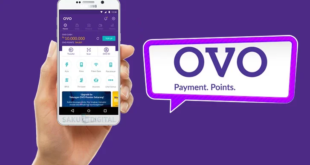 Cara Menghitung Keuntungan Investasi di Ovo