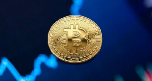 Trading Crypto Modal 100 Ribu