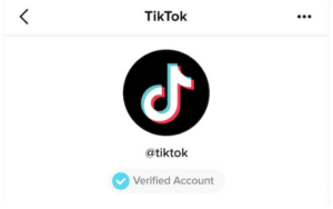 Cara Mendapatkan Centang Biru di TikTok