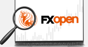 FXOpen Trading Forex Deposit Kecil