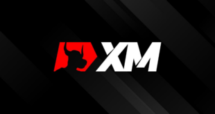 XM Global Broker Forex Terbaik