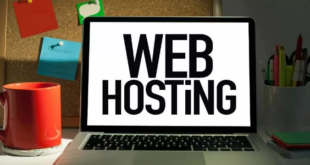 Pentingnya Memilih Web Hoting yang Berkualitas