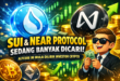 Sui (SUI) dan Near Protocol (NEAR) Sedang Banyak Dicari, Altcoin Ini Mulai Dilirik Investor Crypto